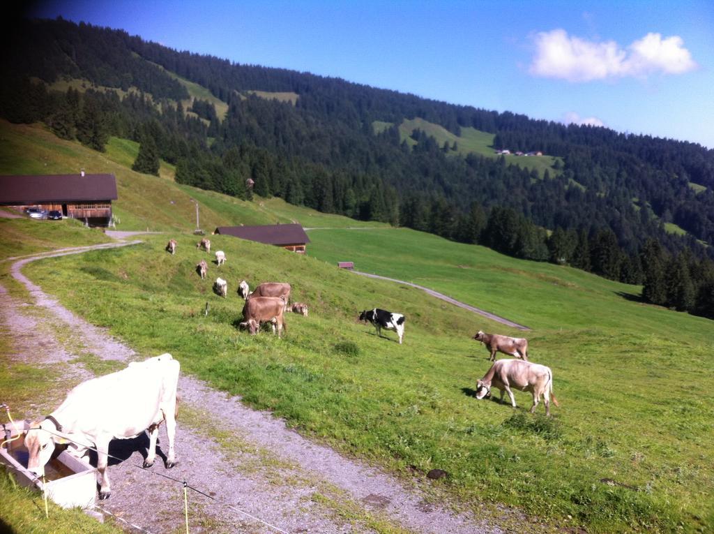 Unser Vorsaess - Klausberg Schwarzenberg im Bregenzerwald Extérieur photo